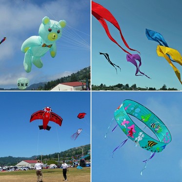 Kite Fest Logo